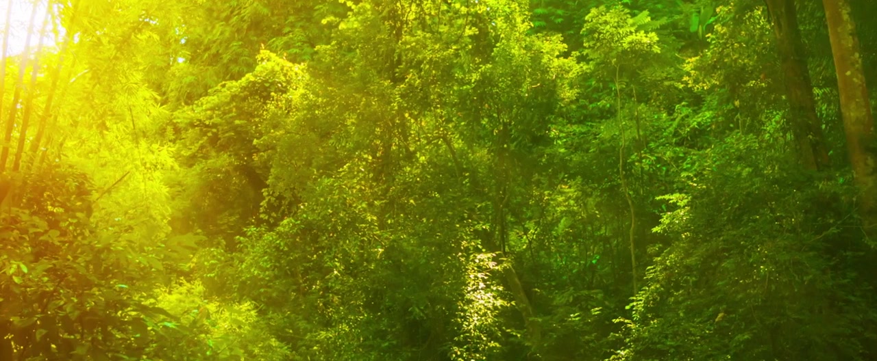 Beast Mode screenshot 1