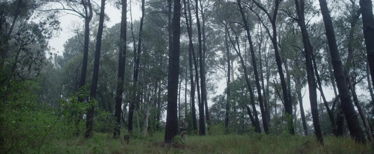 Beast No More screenshot 2