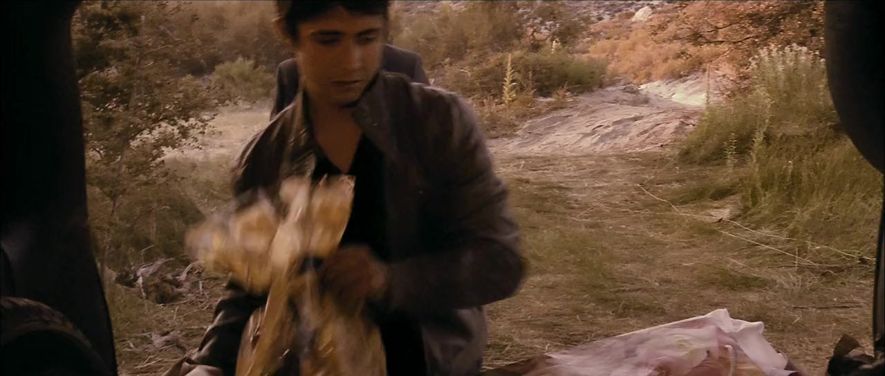 Bear screenshot 1