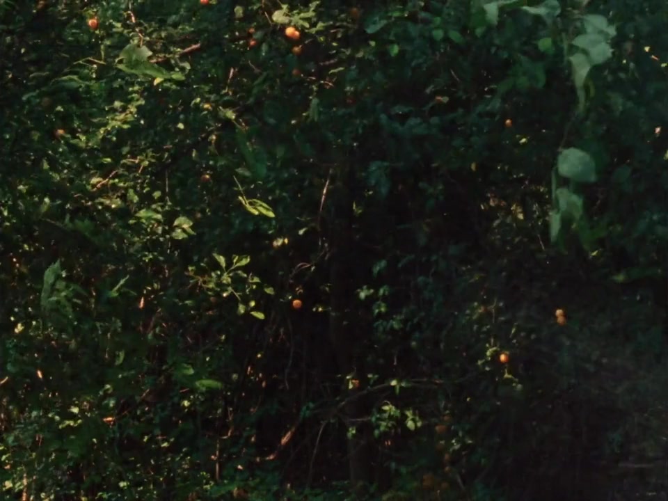 Beatrix screenshot 2
