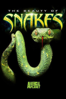 Beauty of Snakes (2003) poster