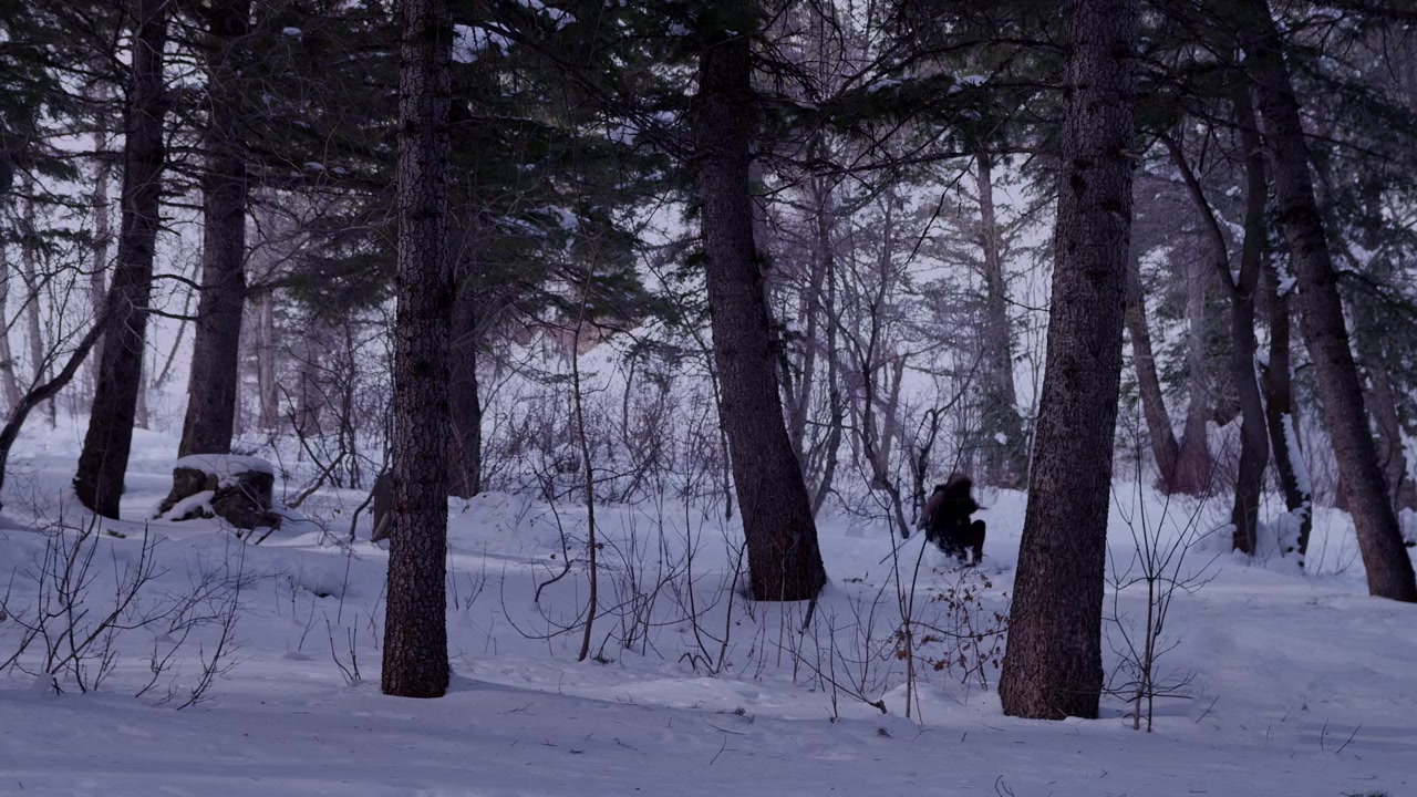The Beautiful Beast screenshot 2