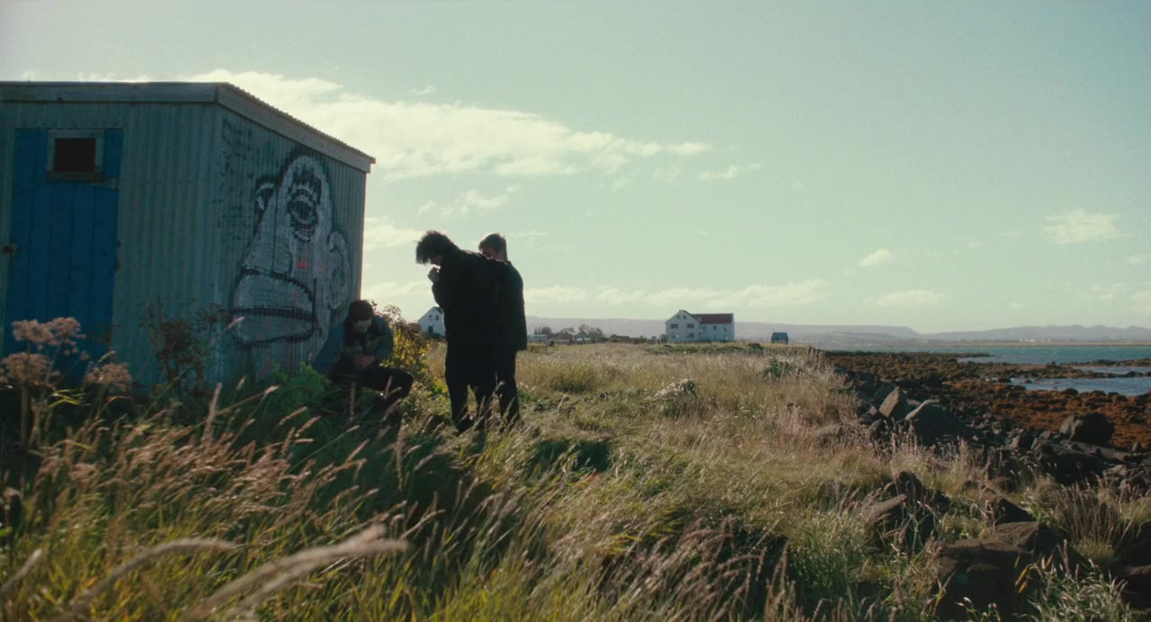 Berdreymi screenshot 1