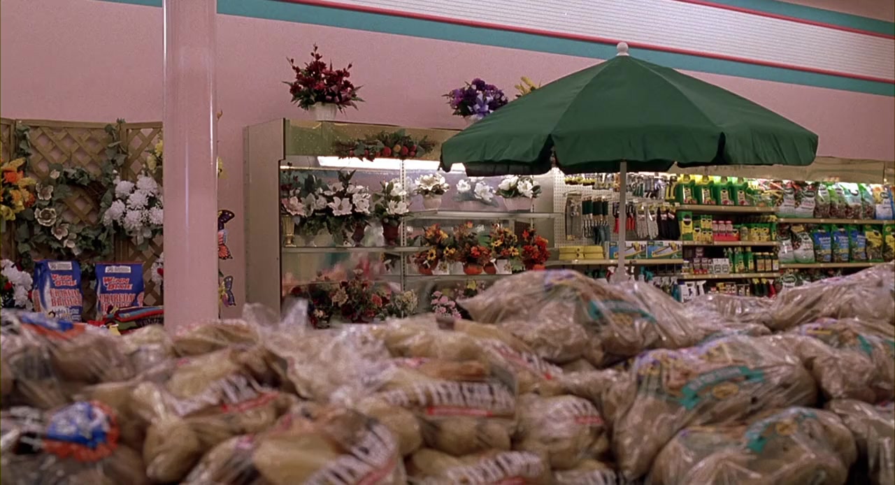 Because of Winn-Dixie screenshot 2