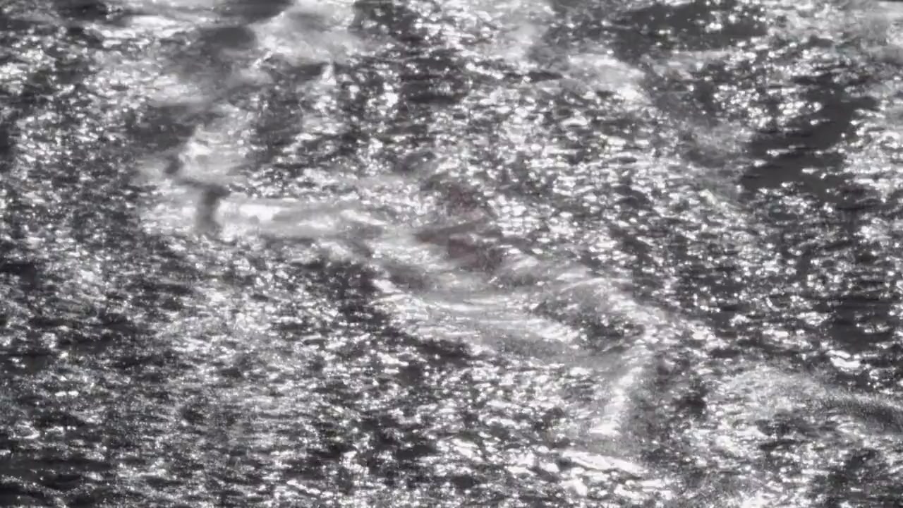 Becoming Cary Grant screenshot 1