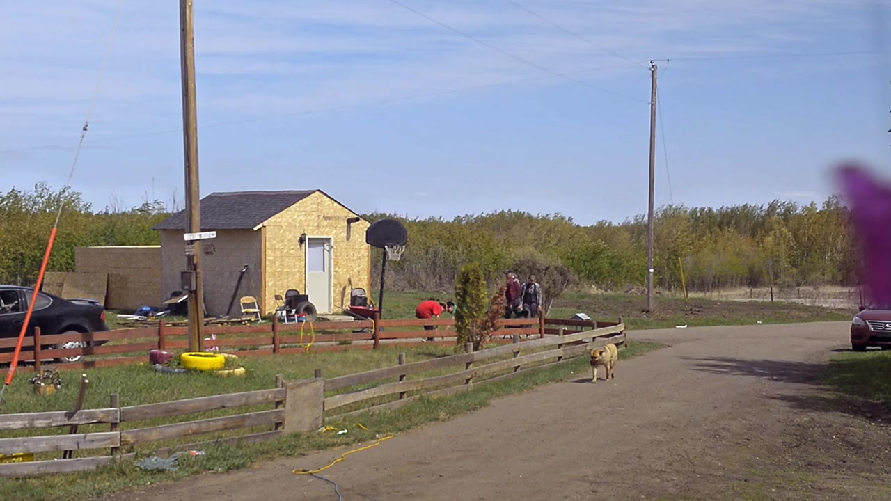 Bee Nation screenshot 2