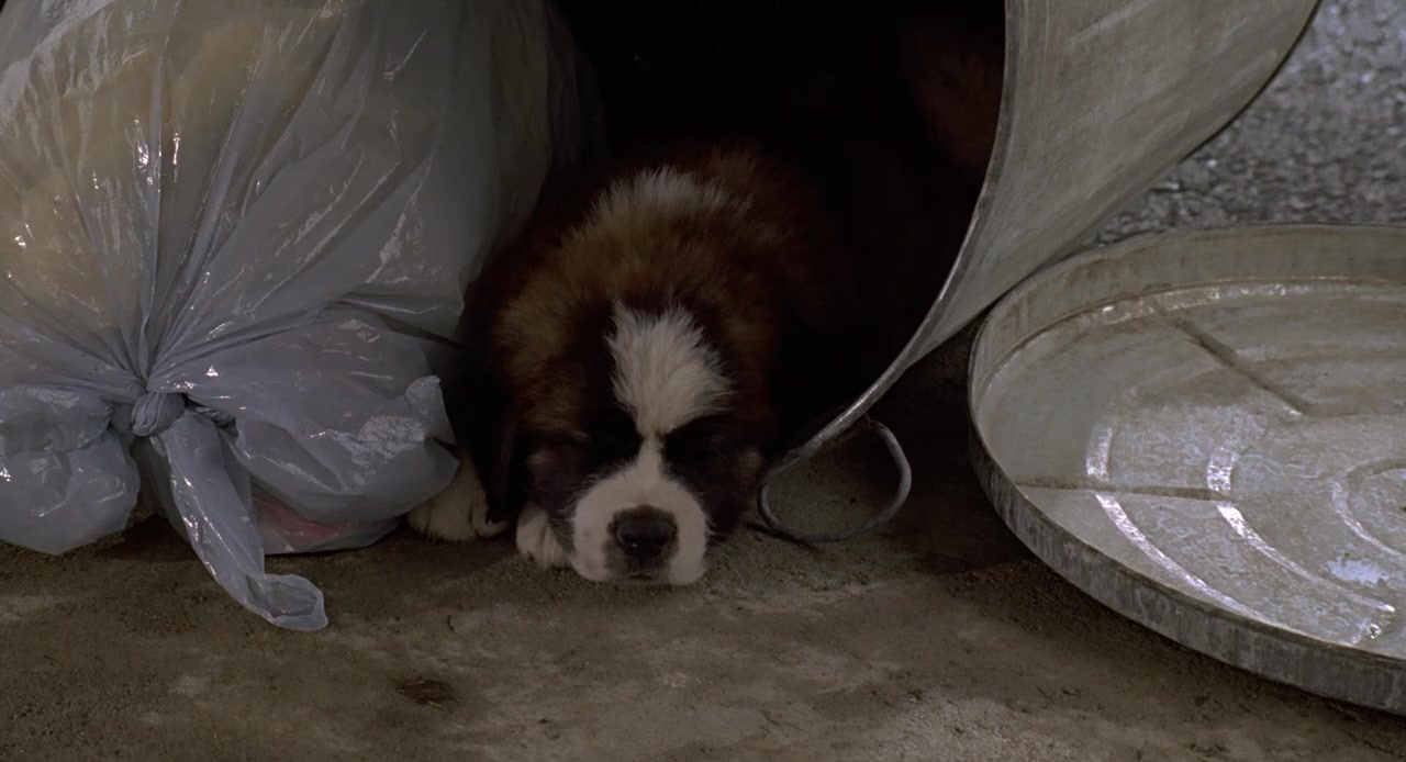Beethoven screenshot 3