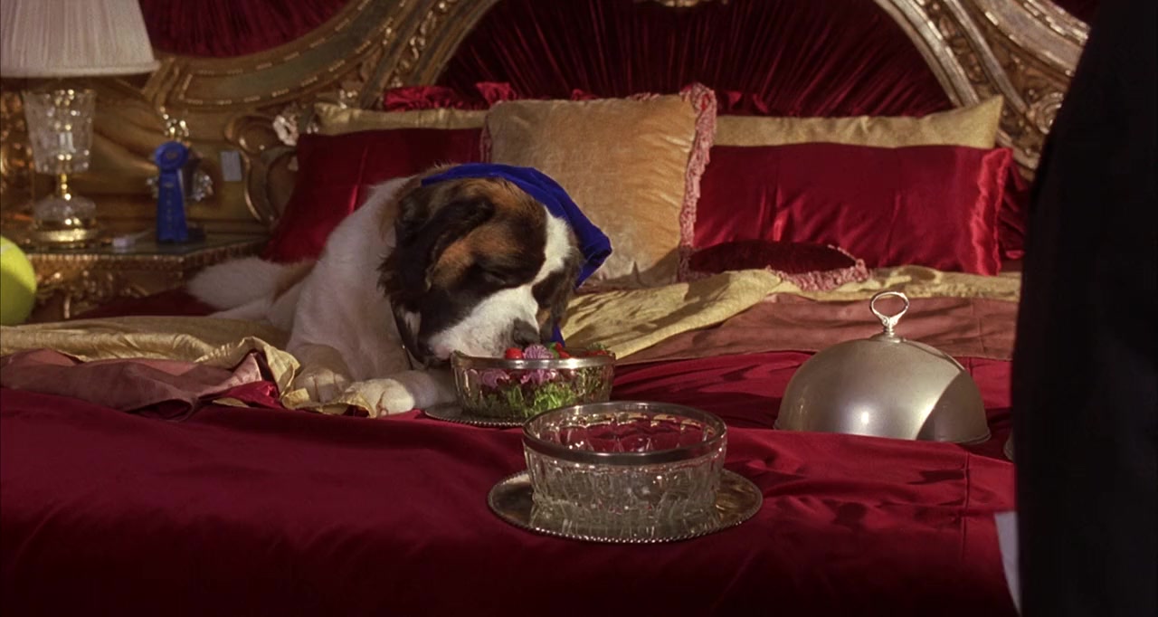 Beethoven's 4th screenshot 3