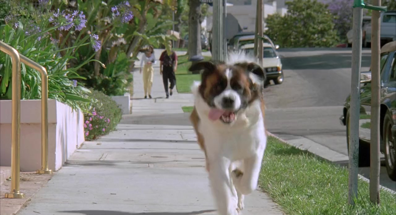 Beethoven's 2nd screenshot 3