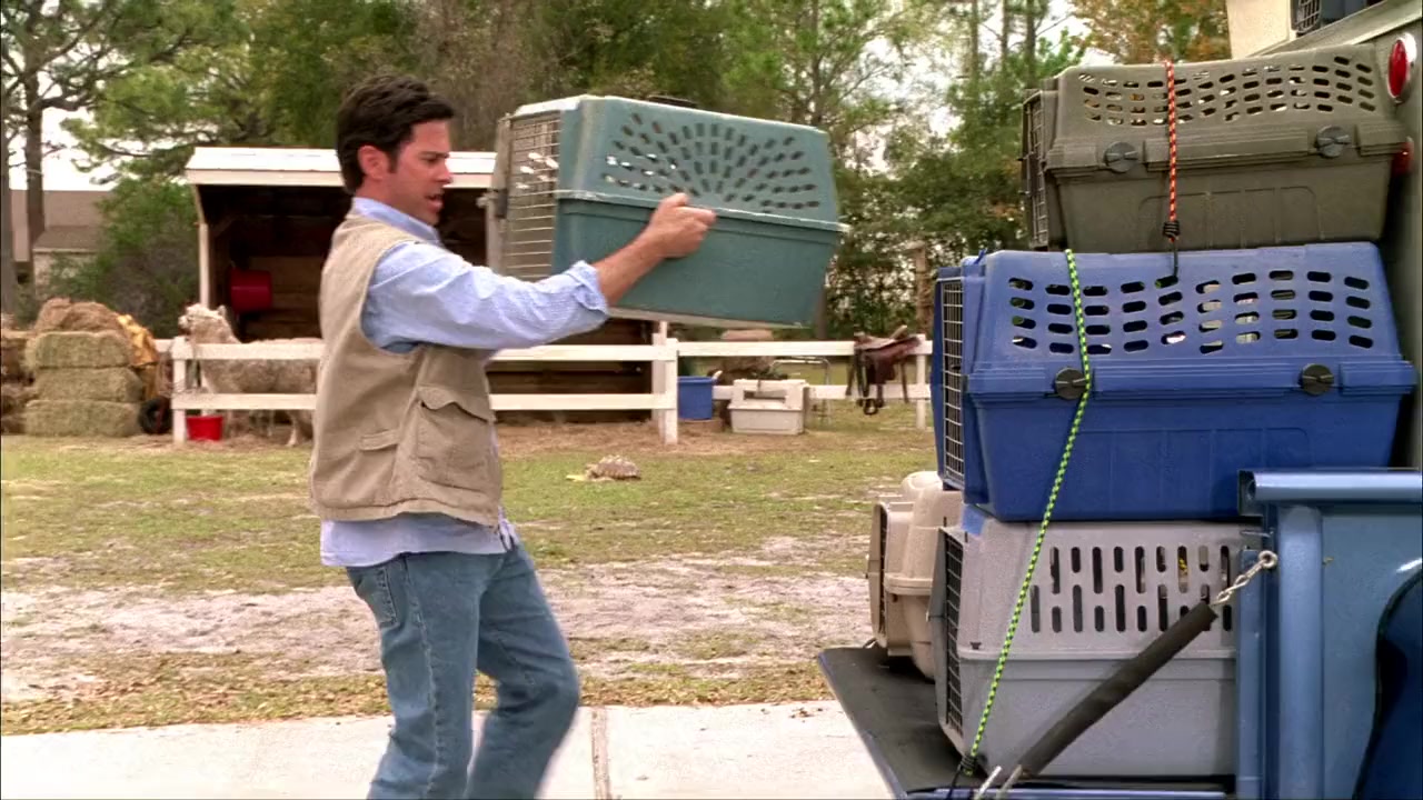 Beethoven's Big Break screenshot 1