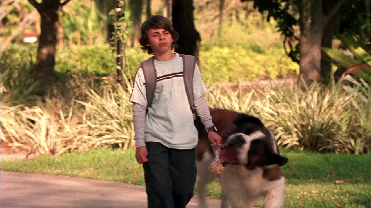Beethoven's Big Break screenshot 2