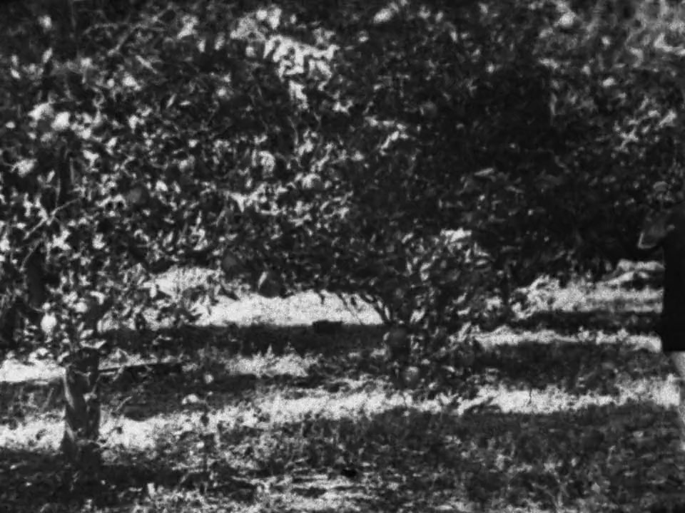 Before Stonewall screenshot 1
