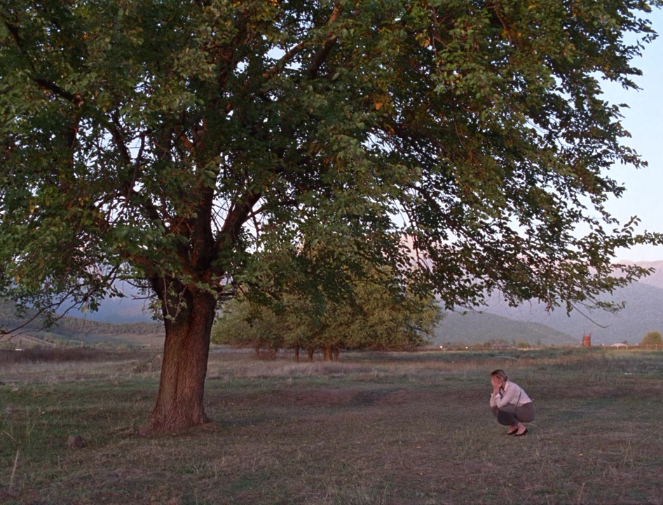 Dasatskisi screenshot 1