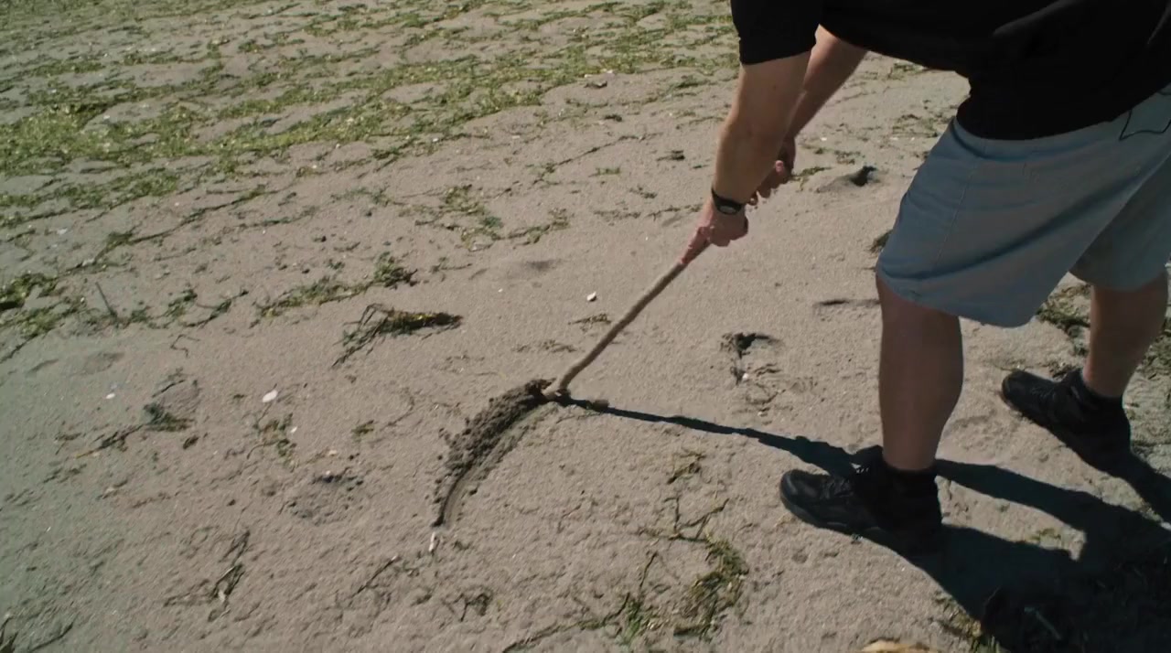 Behind the Curve screenshot 3
