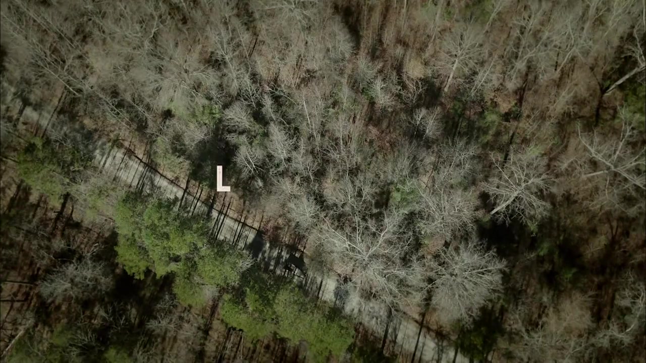Behind the Movement screenshot 1