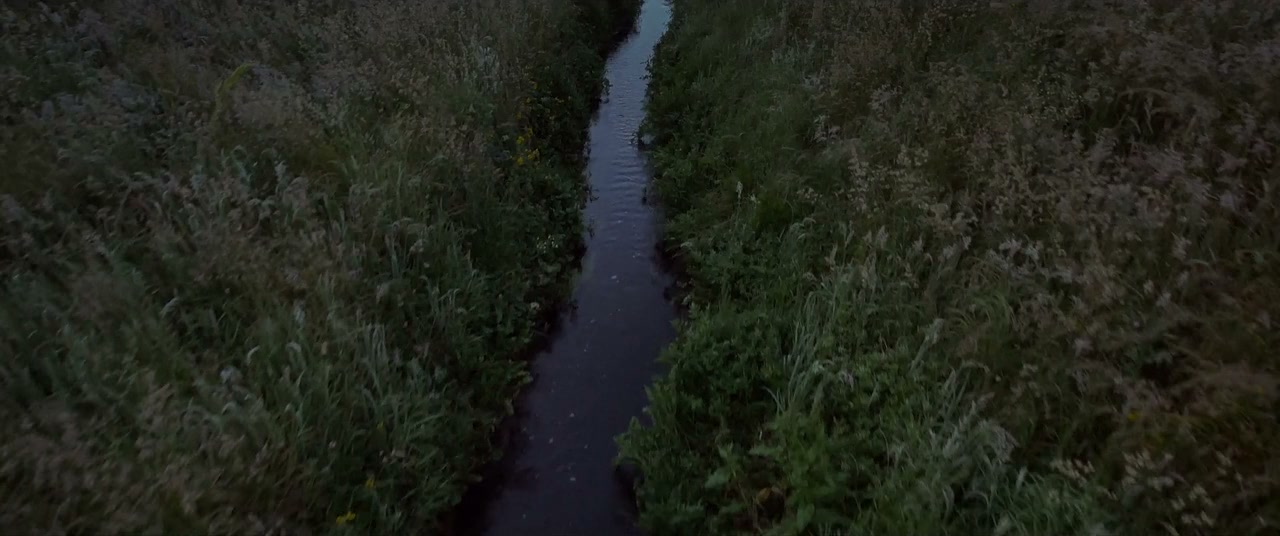 Belief: The Possession of Janet Moses screenshot 1