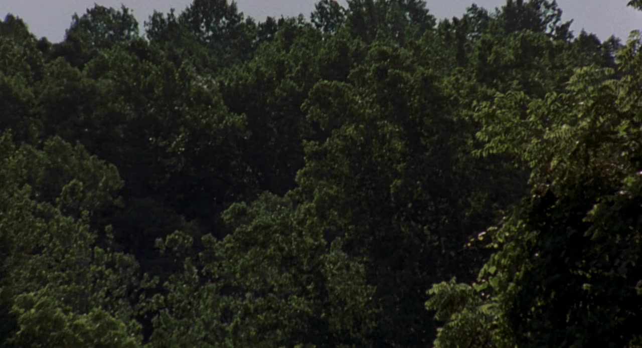 Beloved screenshot 3