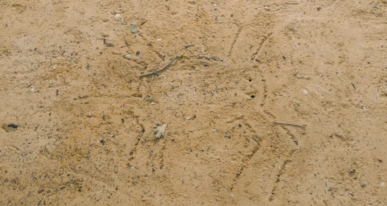 Die geliebten Schwestern screenshot 2