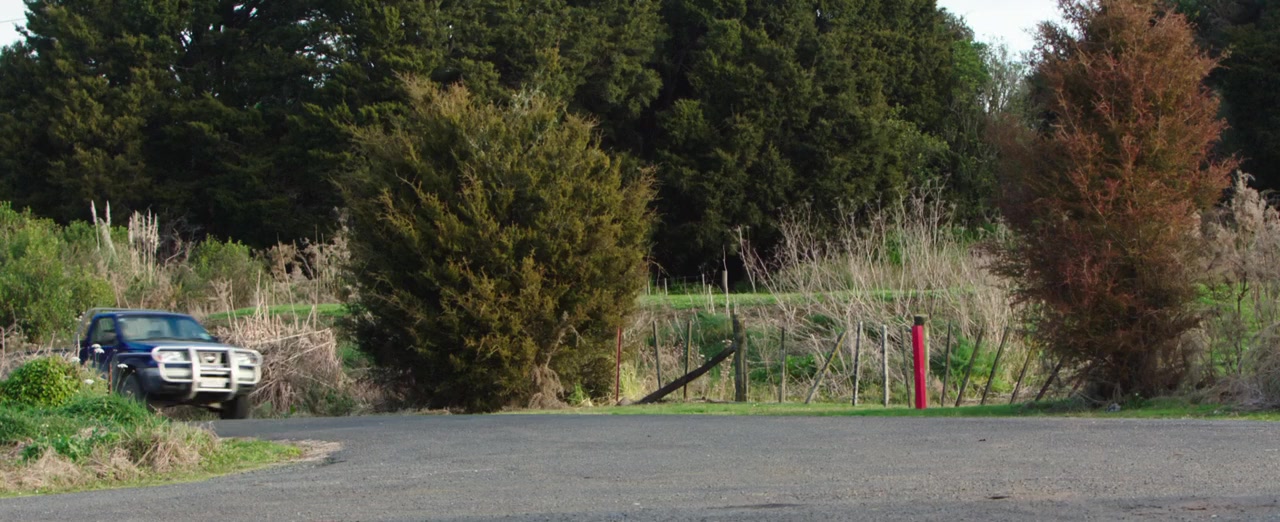 Bellbird screenshot 2