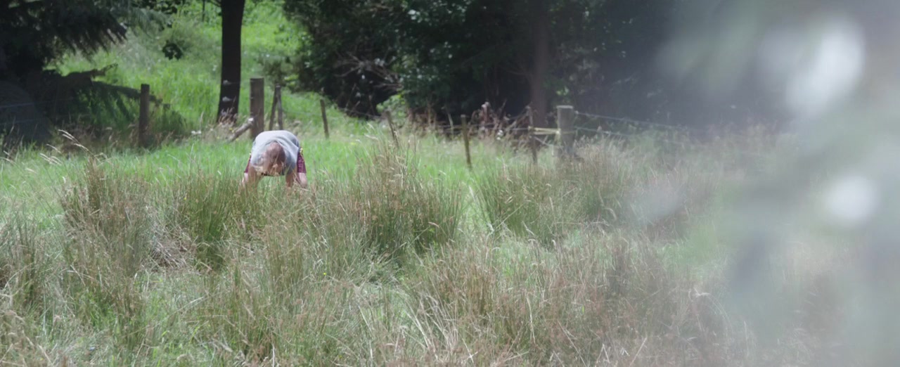 Bellbird screenshot 3