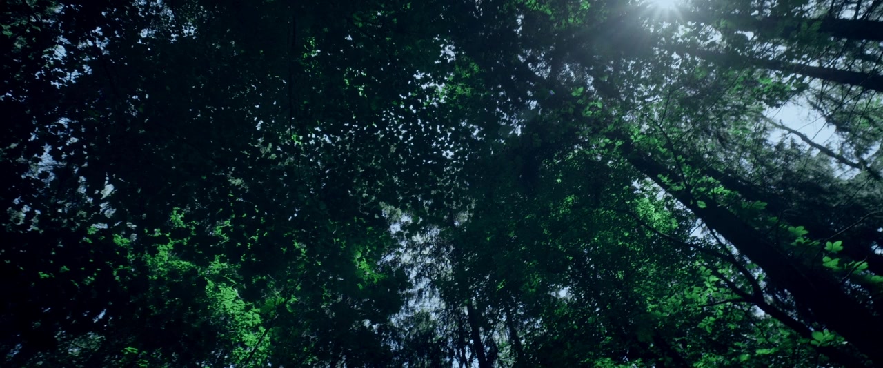 Beneath the Green screenshot 3