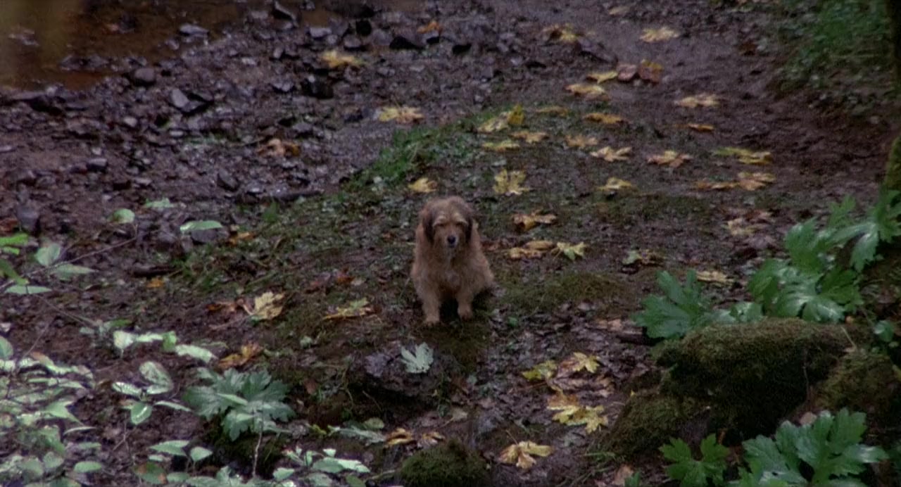 Benji the Hunted screenshot 1