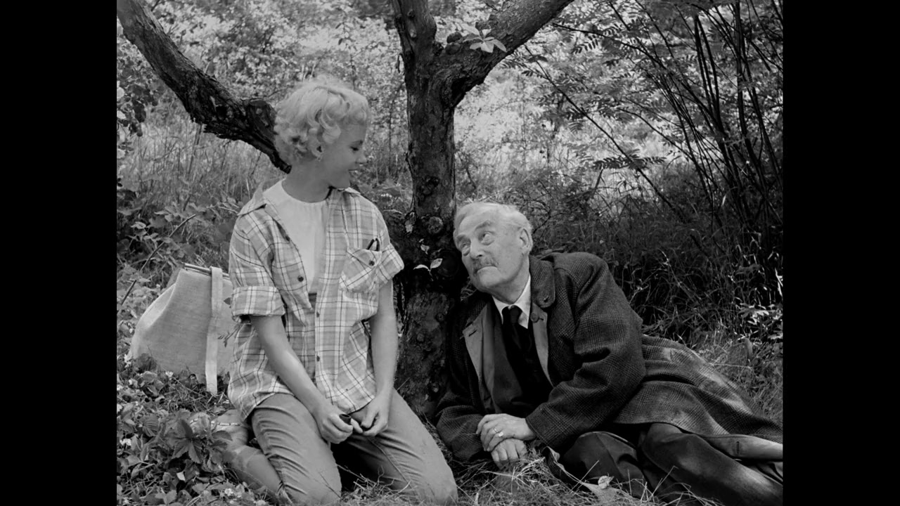 Bergman - Ett år, ett liv screenshot 1