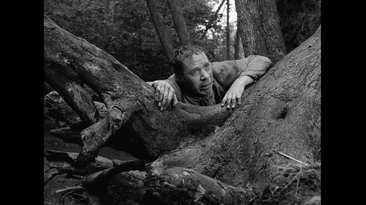 Bergman - Ett år, ett liv screenshot 2