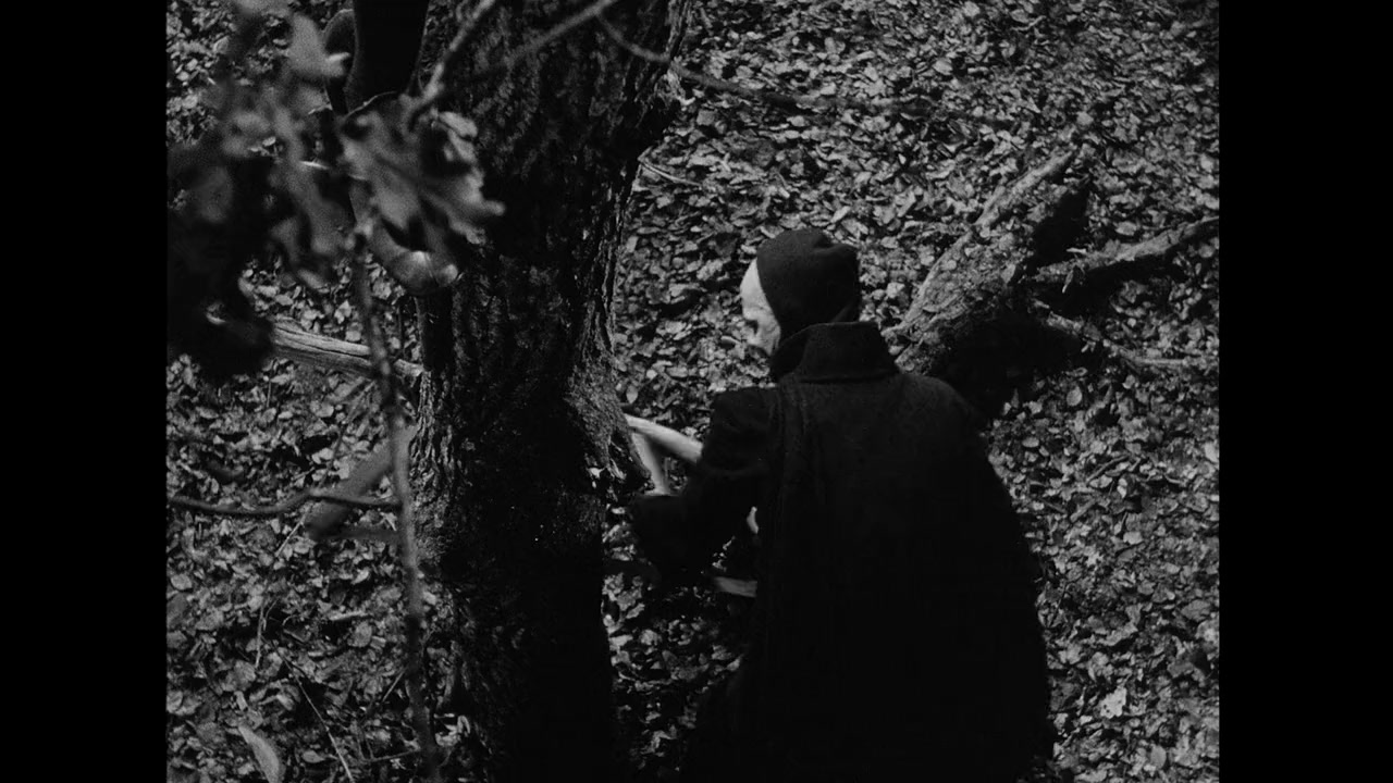 Bergman - Ett år, ett liv screenshot 3