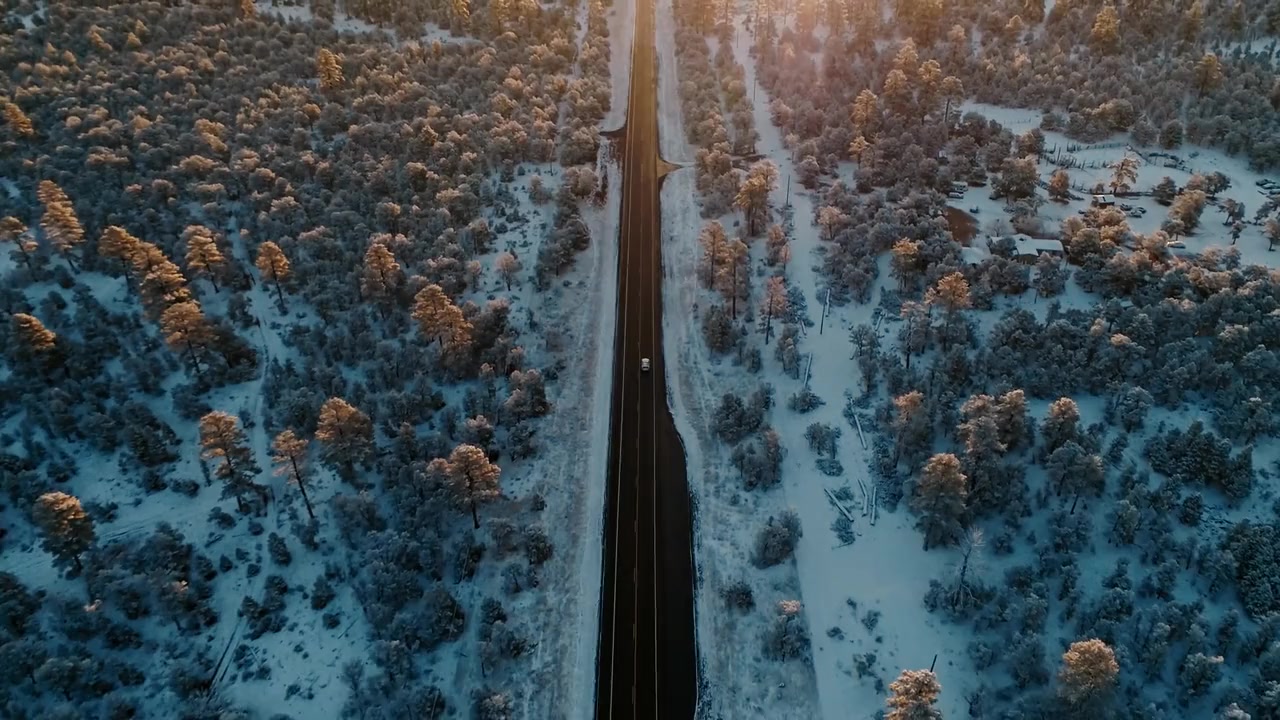 Best. Christmas. Ever! screenshot 1