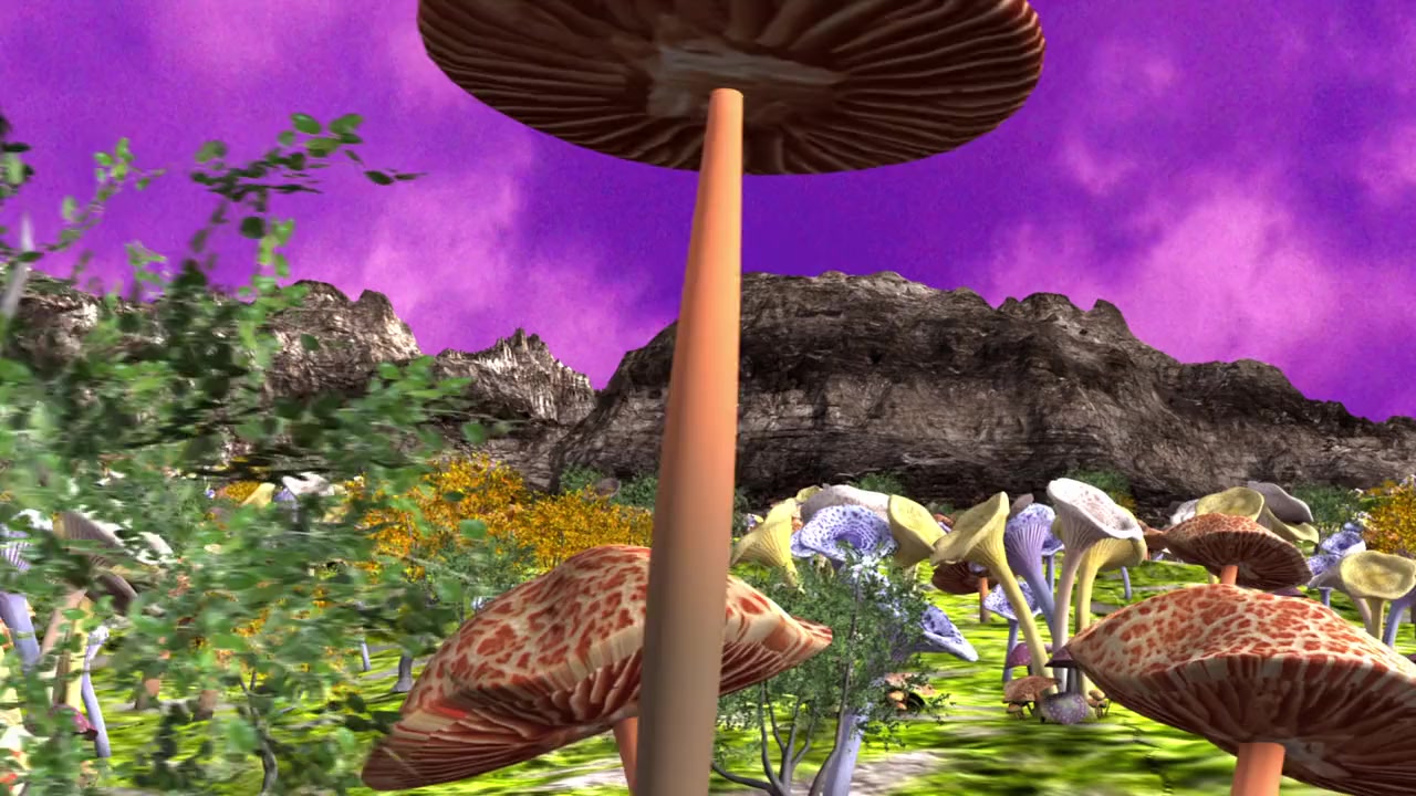Best Player screenshot 1