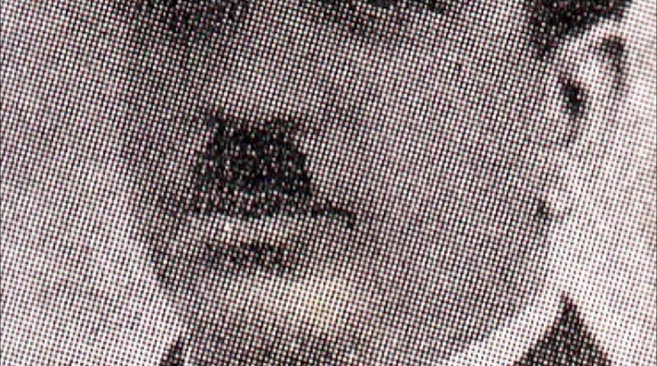 Bhutto screenshot 1