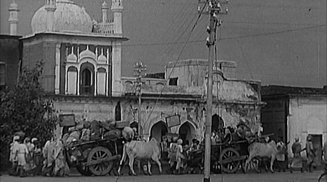 Bhutto screenshot 3
