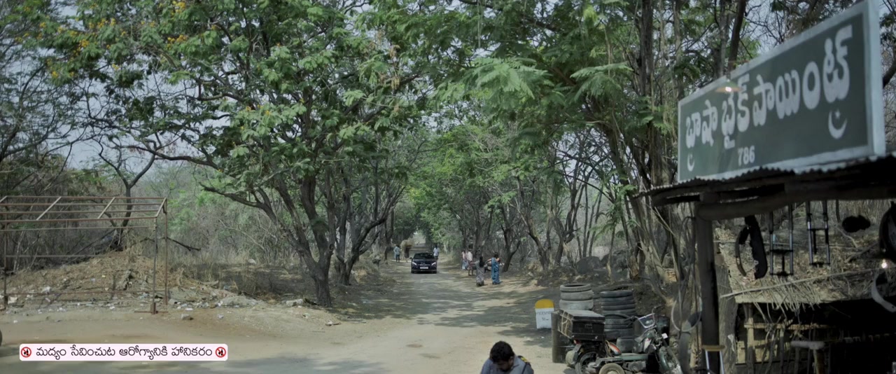 Bhoothaddam Bhaskar Narayana screenshot 1