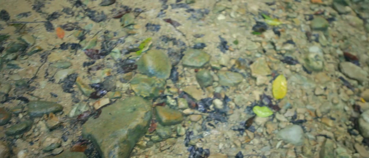 Bite screenshot 1