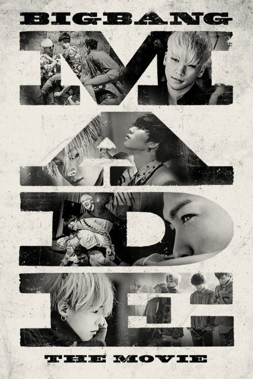 Big Bang Made the Movie (2016) poster