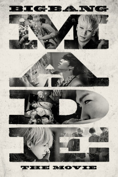 Big Bang Made the Movie (2016) poster