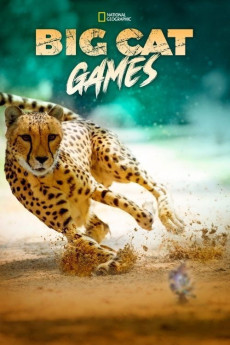 Big Cat Games (2015) poster