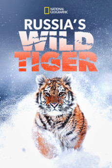 Russia's Wild Tiger (2022) poster