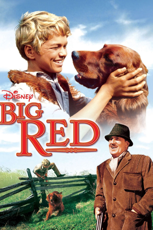 Big Red (1962) poster