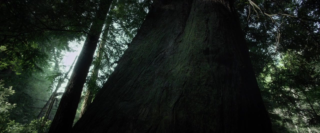 Big Sur screenshot 1