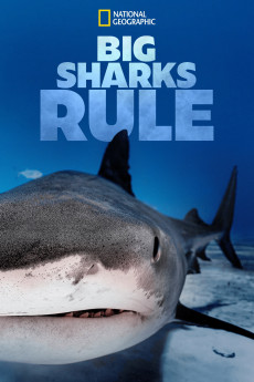 Big Sharks Rule (2018) poster