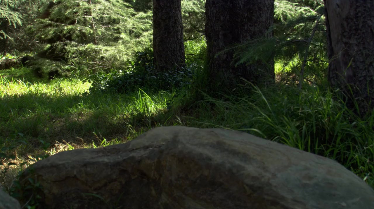 Bigfoot screenshot 2