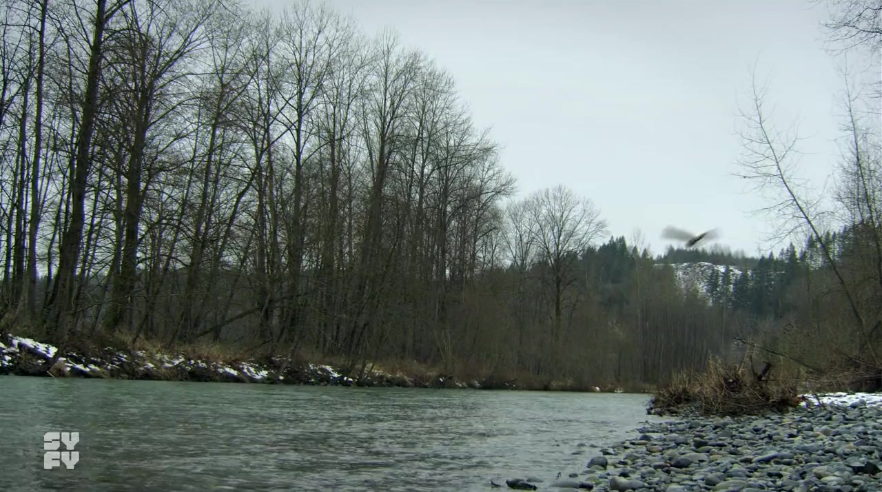 Bigfoot screenshot 1