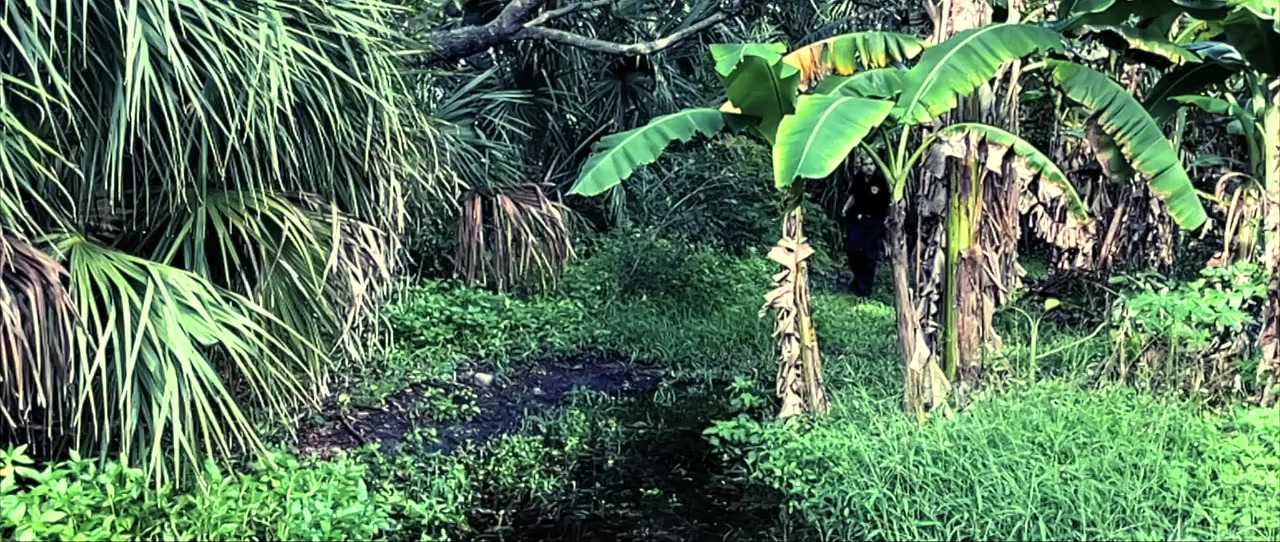 Bigfoot: The Monster Within screenshot 3
