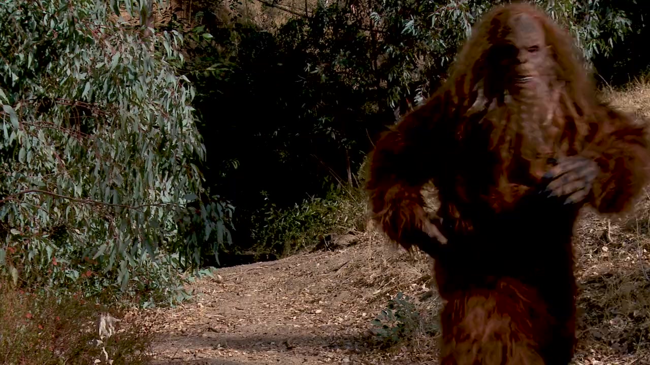Bigfoot or Bust screenshot 3