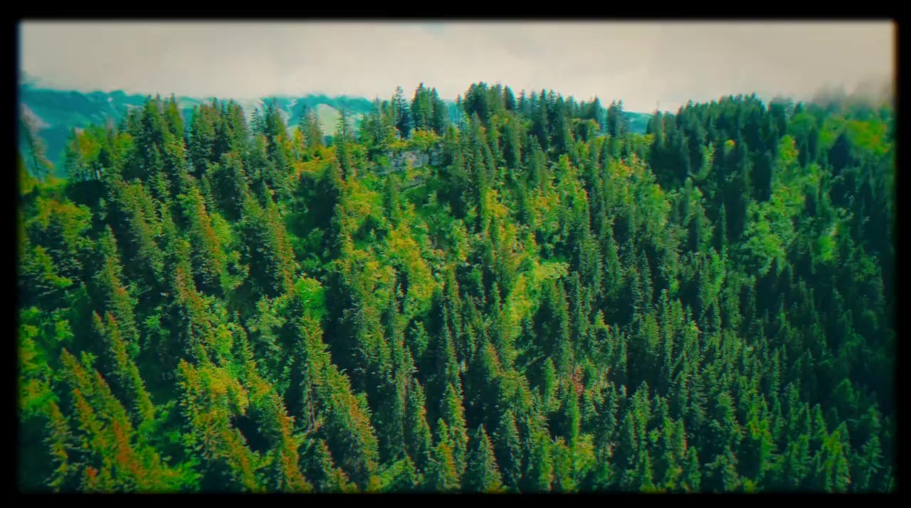 Bigfoot's Bride screenshot 1