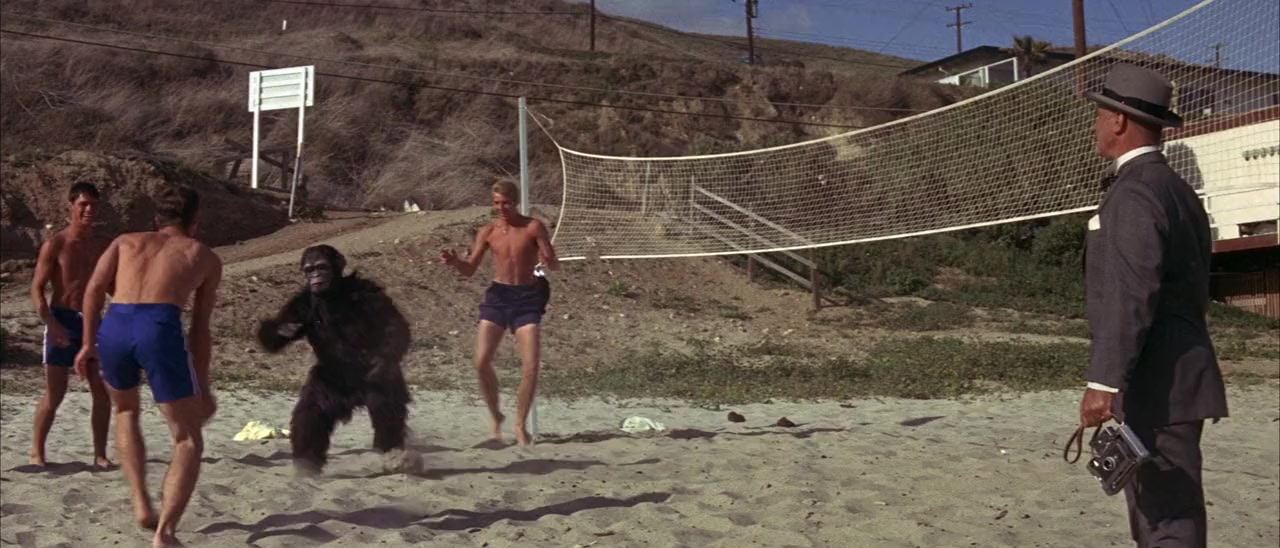 Bikini Beach screenshot 1