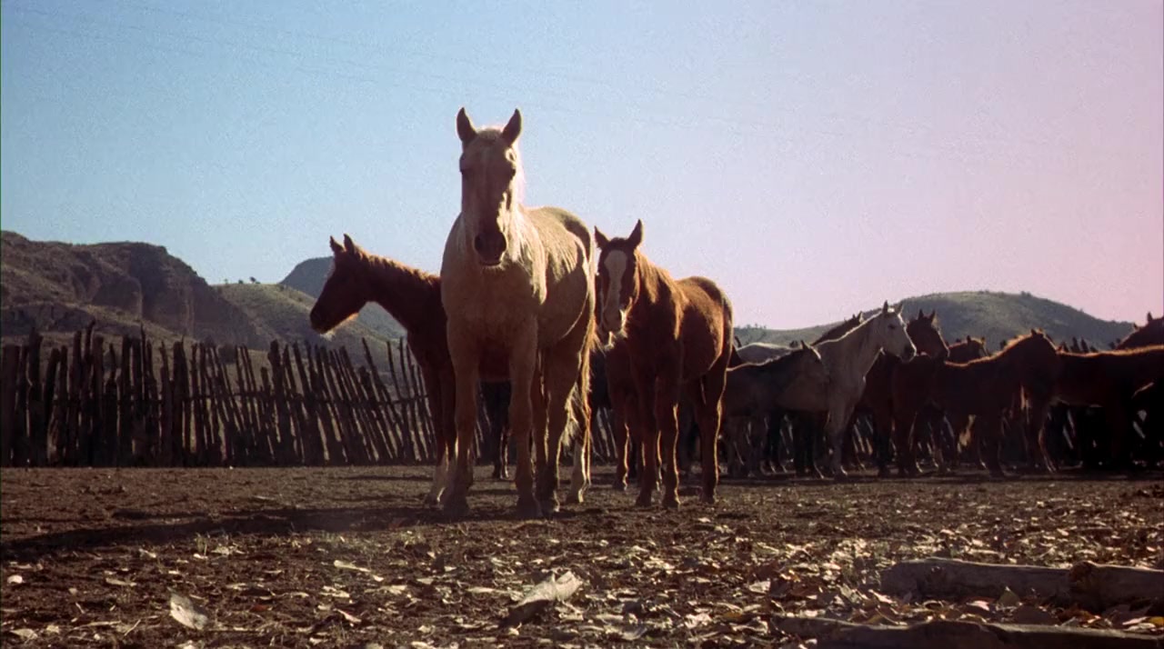 Billy Jack screenshot 1