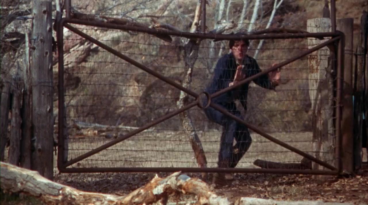 Billy Jack screenshot 3